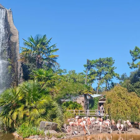 Stunning In Casa de Férias